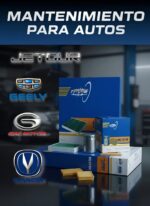 VENTA DE FILTROS PARA AUTO CHINO